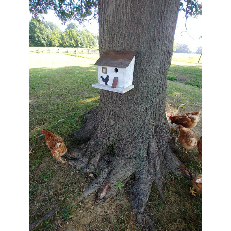 Home Bazaar Bird in Hand Series Cumberland Chicken Coop 10 in x 10 in x